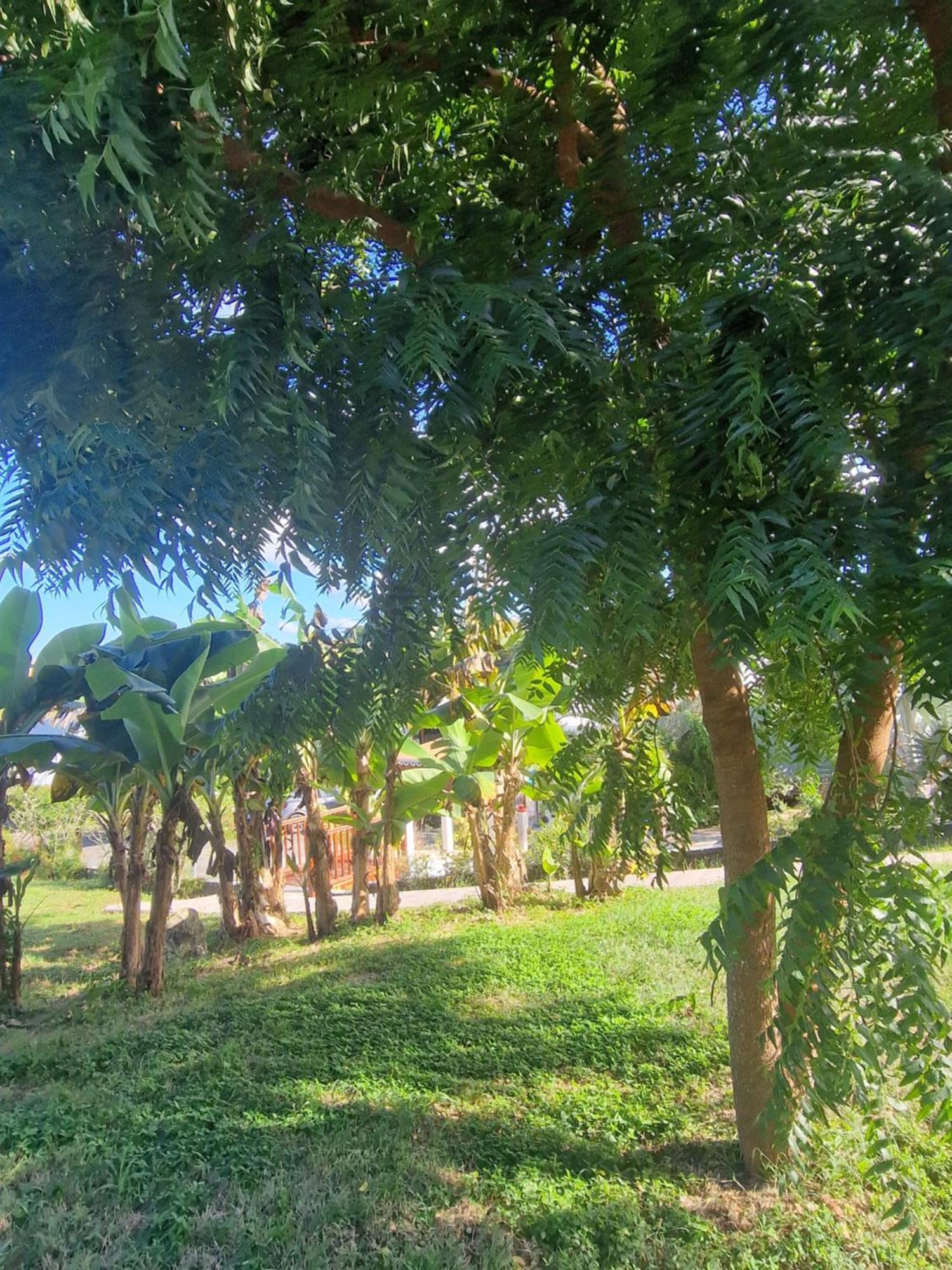 Les Villas De Boisvin Le Moule Exterior foto